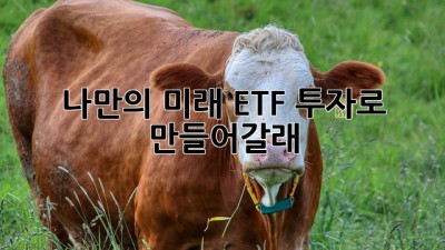 나만의 미래, ETF 투자로 만들어갈래?