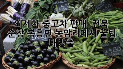 외제차 중고차 판매? 🚗 전북 순창 복흥면 농암리에서 꿀팁 대방출!